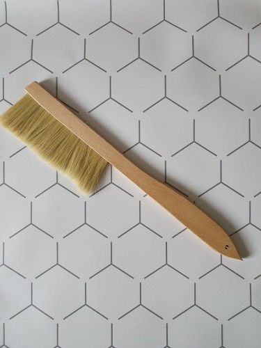 232177207_792868438066948_9182312931796048524_zmiotka pasieczna mała.jpg