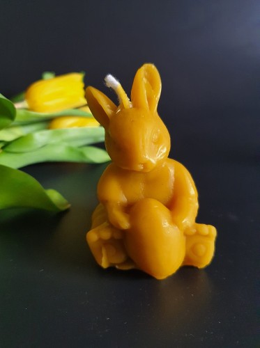 ś.zając duzzyy.jpg